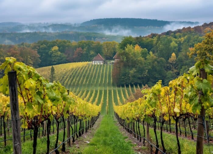 Food & Wine New Zealand Journeys  