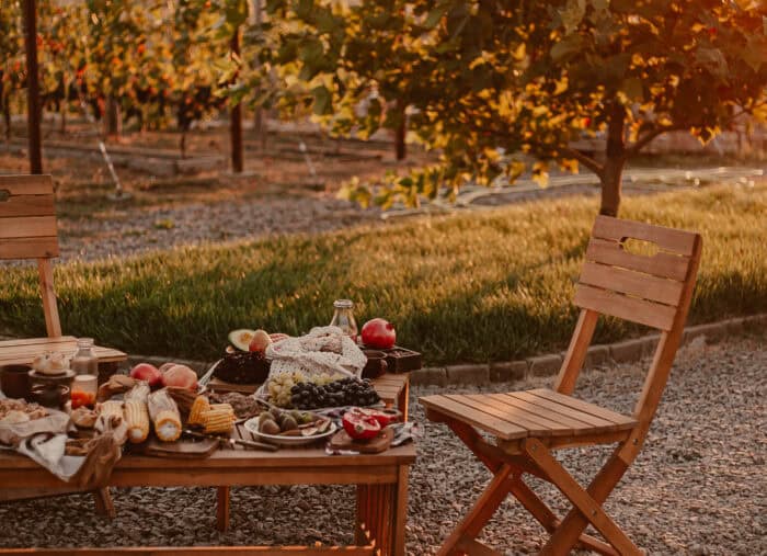 Outdoor picnic in the winery with vineyard view