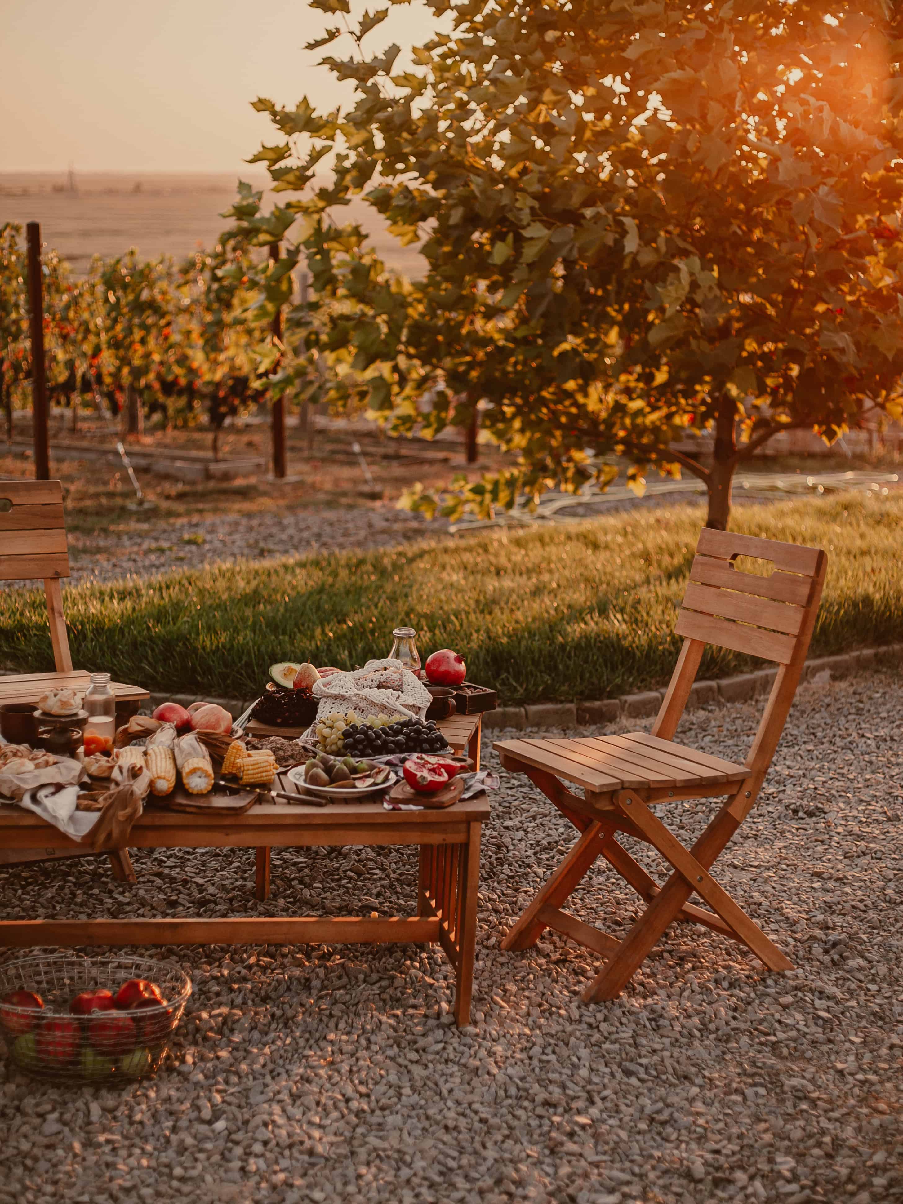 Outdoor picnic in the winery with vineyard view