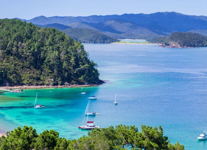 View on Bay of Islands New Zealand