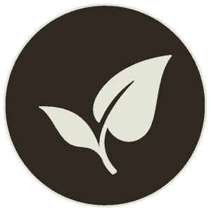 Sustainable & Responsible Travel